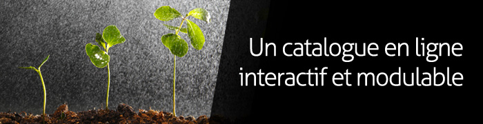 création de site internet catalogue en ligne - agence web en Vendée (85)