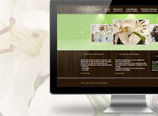 Canelle Déco – création de site internet catalogue